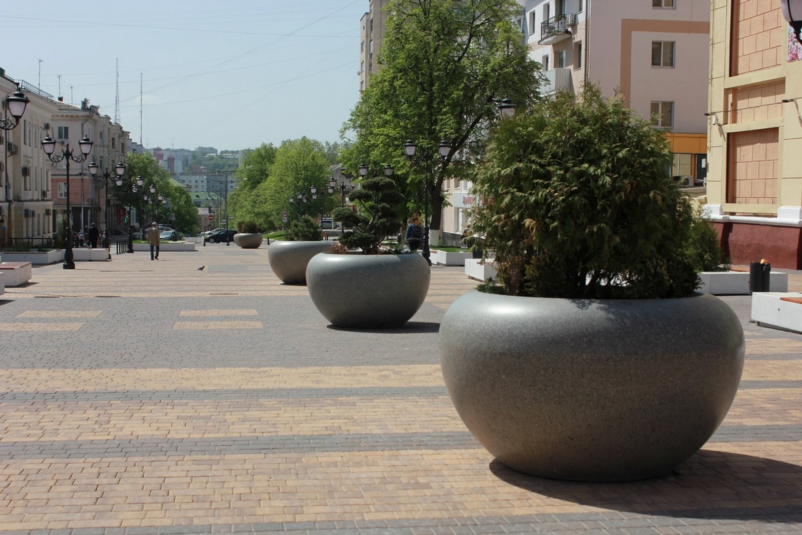 Вазон Марта
