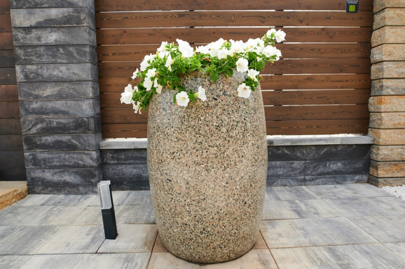 Вазон Пегассо